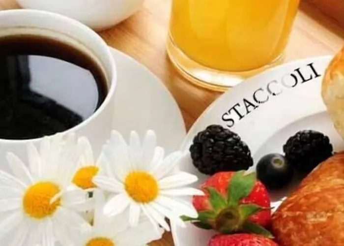 Staccoli Hotell Rimini